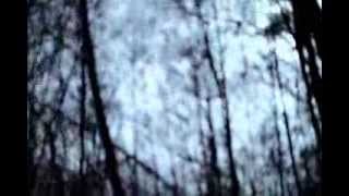 Tuxedomoon - Heaven or Hell