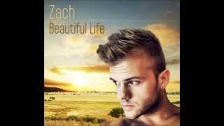 Zach - It's a Beautiful Life (Peter Antal Remix)
