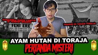Download lagu AYAM HUTAN DI TANAH TORAJA - MT X TC mp3