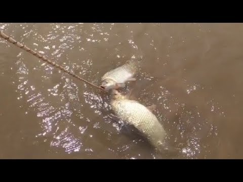 Pesca y cocina en Astamisqui 