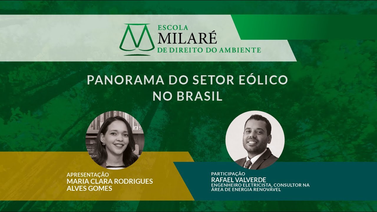 Panorama do setor eólico no Brasil