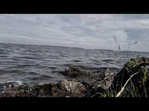 Heathen Rites: Gleipner (Official Video)