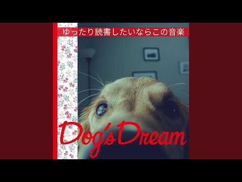 「The Power of the Dog」: これがグローブの人気作品が受賞に値する理由です