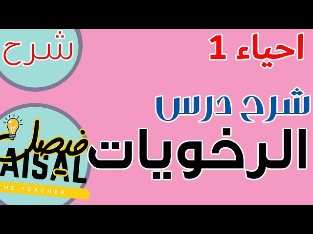 عرض بوربوينت تفاعلي لدرس الرخويات - احياء1