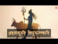 Experience The MAGICAL Journey With This DEVINE Mantra Brahmamurari Tripuarantakari