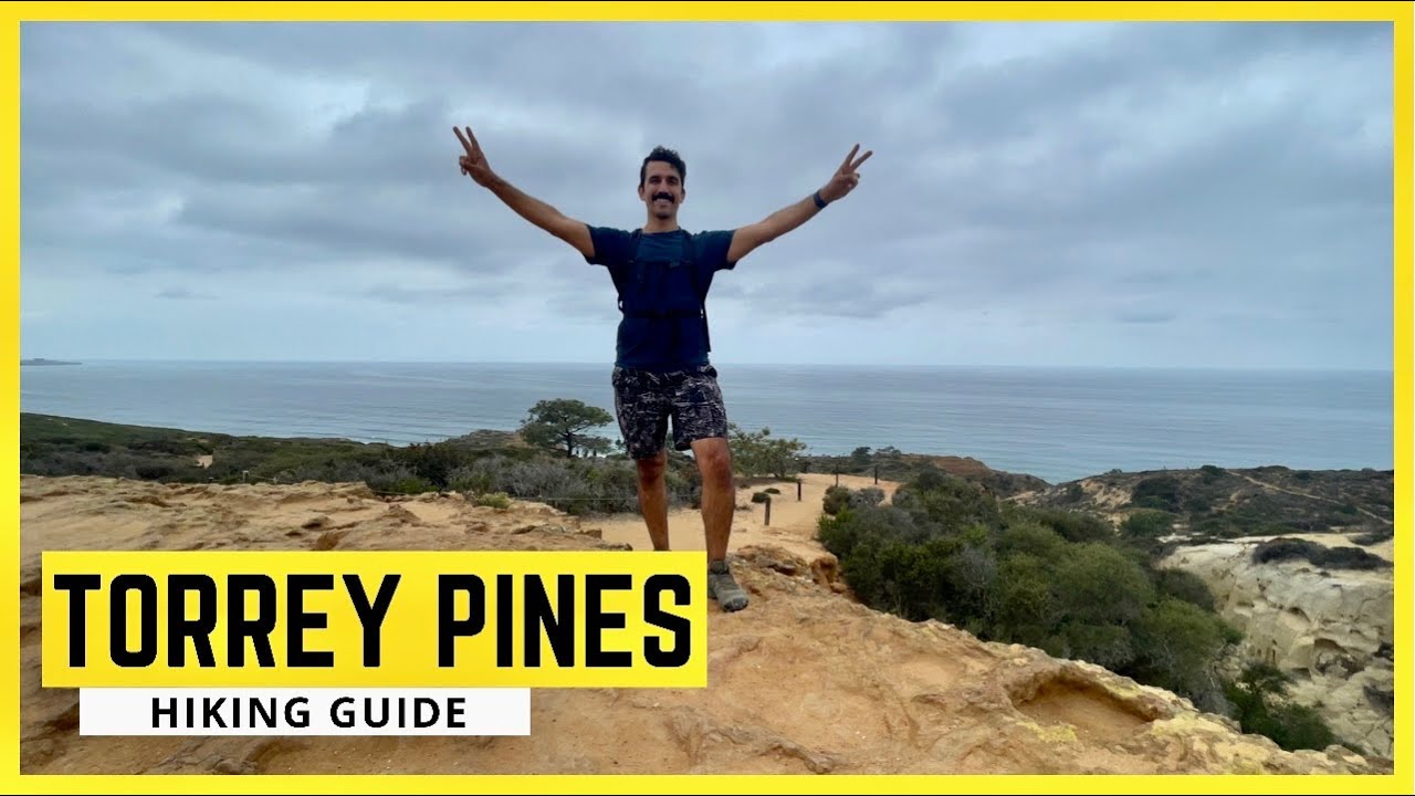 Torrey Pines Hiking Guide (10/10 would recommend)