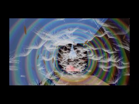 Mächy x Jas the Cat - Flyga drake feat. André BIM (Emma Järnfemma video)