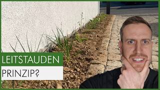 So bepflanzt du ein Magerbeet komplett – vom Leitstaudenprinzip bis zur perfekte