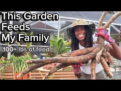 Plant These 10 Crops Before Feb 14 to Feed Your Family (Florida)