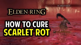 Scarlet Rot: How to Cure / Remove Scarlet Rot | Elden Ring