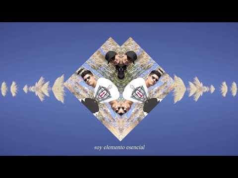 Vendaval -Rolando Fino, Escala Mercalli 🌪️(Visualizer)