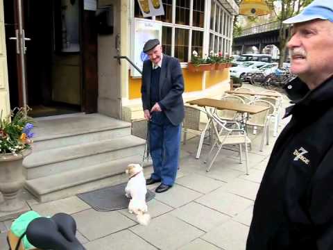 Sind wir nicht alle Opa?