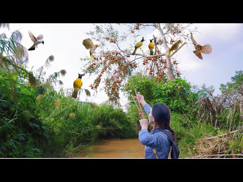 Slingshot for bird hunting - Encounter with mutant birds