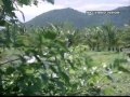 Vasalile Poosani Poo HD Song