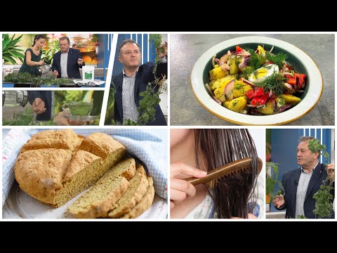 Rreze Dielli - Emisioni 17 Nëntor 2025, Receta tradite / Hithra, mbretëresha e bimëve në shëndet