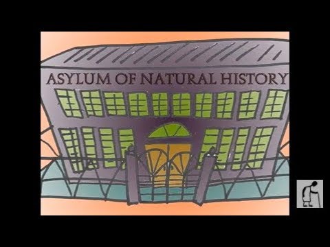 Asylum Of Natural History - Stuart Smith's Adjective Animal Project v2.#1