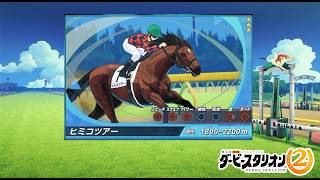 最終回　逸材　ヒミコツアー誕生　ダービースタリオン2　日本ダービー制覇配信