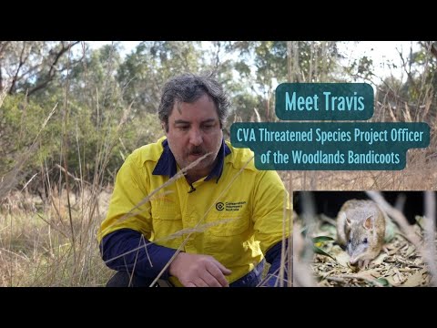 Safeguard a Bandicoot from Extinction