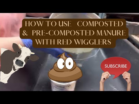 Let’s see what happens with this manure experiment with my red wigglers. #redwigglers #vermicompost