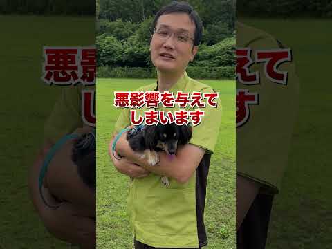 【暴露】実は犬が嫌いなニオイ5選