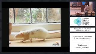 Lecture 8.3: Tony Prescott - Control Architecture in Mammals and Robots