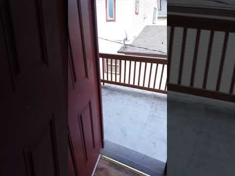 WILL--* - Video 2 of 2