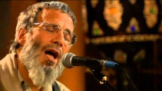 Yusuf Islam - Wild World Zulu Version (Live Yusuf&#39;s Cafe Session 2007)