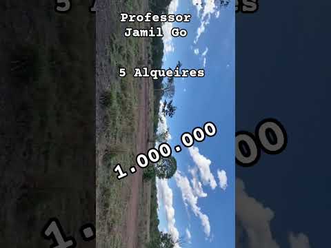 5 Alqueires 1.000.000 Professor Jamie go