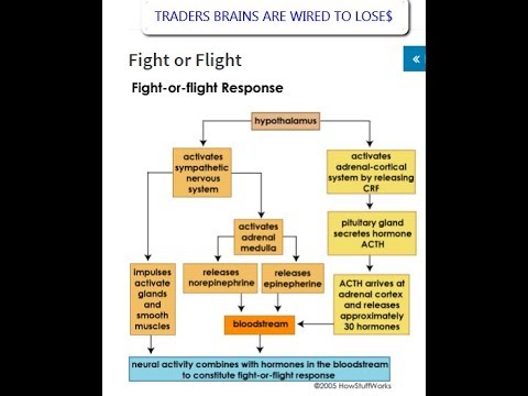 CRITICAL MENTAL & TACTICAL TRADING BEHAVIORAL DYNAMICS - FORECASTS