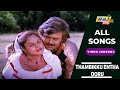 Thambikku Entha Ooru Movie 4K Full Video Songs Rajinikanth Madhavi Ilayaraja Raj 4K Songs