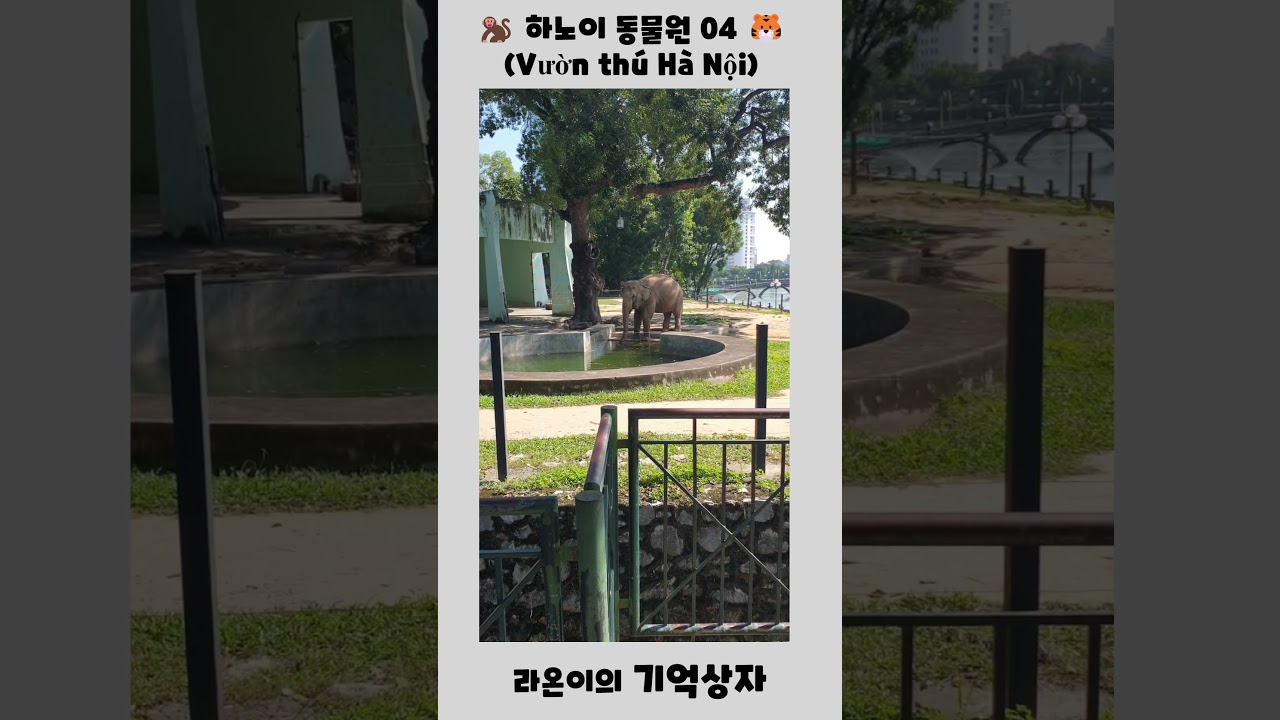 2025년 11월 15일 하노이 동물원 03(Vườn thú Hà Nội)#short#parenting #n…