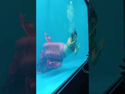 🧜‍♀️ Water Queen of the Mela | Jalpari Show 2025 #jalpari #mermaid #mela #show #shorts