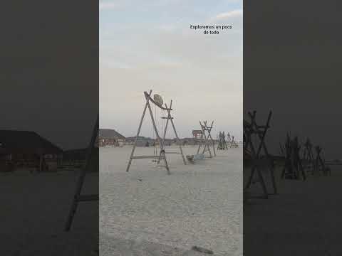 Riohacha la guajira uno de los sitios hermosos de colombia. #shortsviral #birds #nature #shor