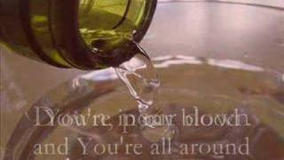 Skillet- Pour (with lyrics)