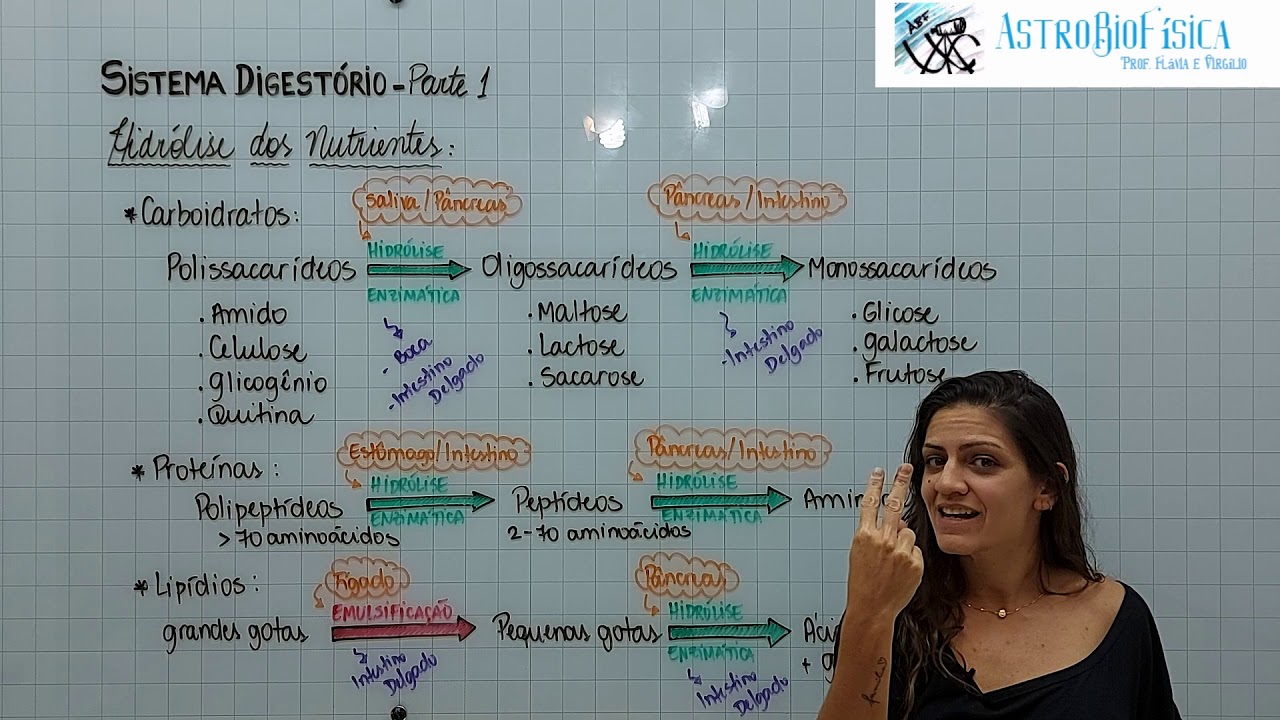 Fisiologia Humana - Hidrólise de Nutrientes