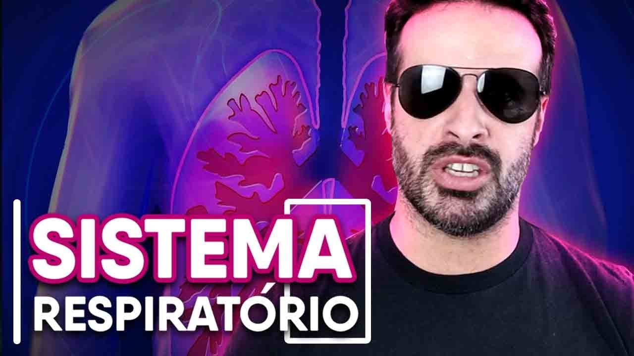 SISTEMA RESPIRATÓRIO: ESTRUTURA E FUNÇÕES GERAIS DAS VIAS AÉREAS