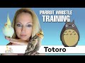 Totoro - Parrot Whistle Training