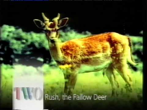 BBC2 Continuity - 31-12-89