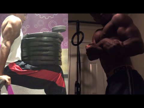 Day 74 - Chest & Triceps | Bulking