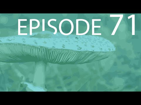 Épisode 71 - Basidiomycota
