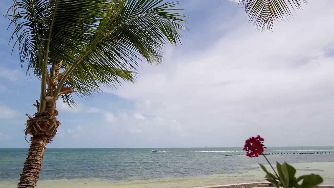 Welcome to Key West: Seaport Realtors