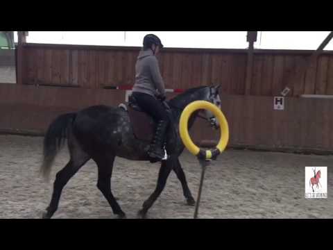 Der Slalom -  Working Equitation Staraktion Pferd International München 2017