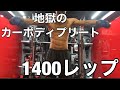 NPCJ JAPAN CLASSICまで後4日地獄のカーボディプリート7種目20レップ10セット
