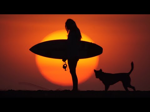 The Denp - Бездна