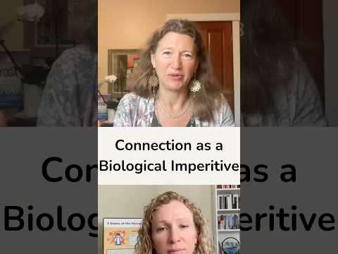 Connection as a Biological Imperative