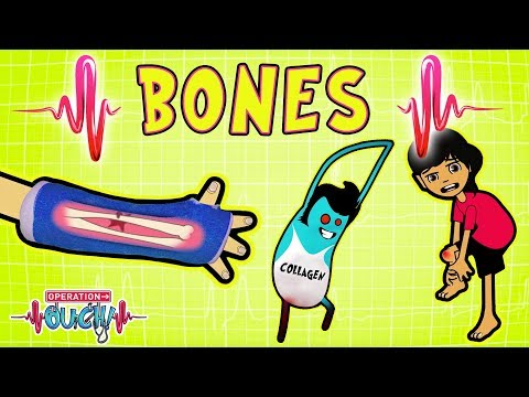 Science for kids | BREAKING BONES | Experiments for kids | Operation Ouch