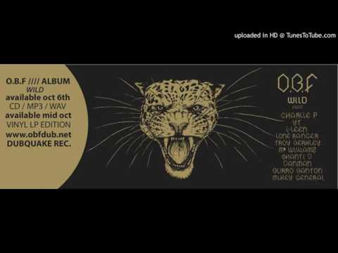 Dan Man - Kally Weed