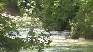 For Those Tears I Died