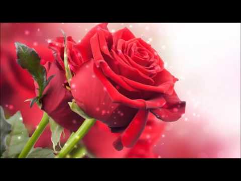 SÜRMELİDİR SÜRMELİ O GÜZELİ GÖRMELİ