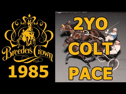 1985 Breeders Crown - Robust Hanover- 2YO Colt Pace